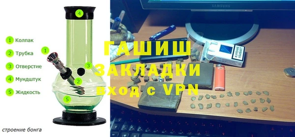 сатива Белокуриха