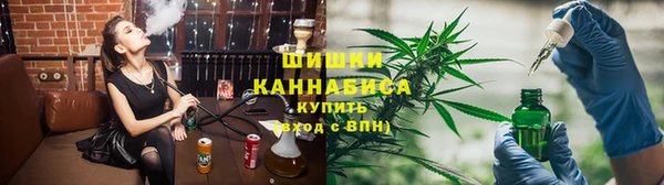 сатива Белокуриха