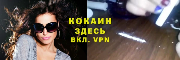 сатива Сатка