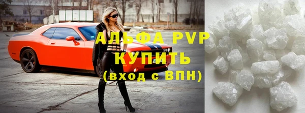 сатива Белокуриха